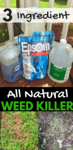 A weed killer that is all natural with common household items! Seriously works great! Check it out!