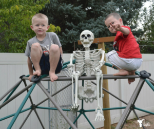 "Elf on the Shelf" Skeleton