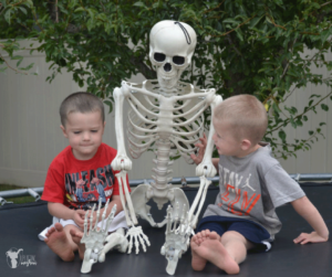 "Elf on the Shelf" Skeleton