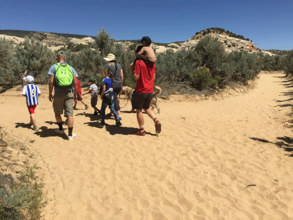 Things To Do While Visiting Dinosaur National Monument - Uplifting Mayhem